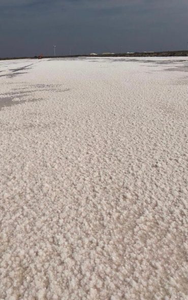 WhatsApp Image 2019-07-15 at 13.58.26